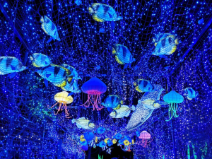 Festival des lumières sauvages à Peaugres