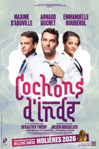 Cochons d&rsquo;Inde